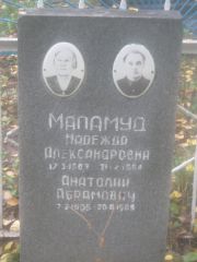 Маламуд Надежда Александровна, Арзамас, Тихвинское кладбище