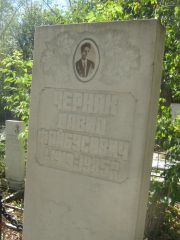 Черняк Давид Файбусович, Челябинск, Цинковое кладбище (Жестянка)