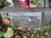 Шейнис Циля Семеновна, Екатеринбург, Северное кладбище