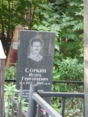 Соркин Игорь Григорьевич, Казань, Арское кладбище
