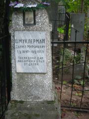 Шмуклерман Данил Миронович, Казань, Арское кладбище