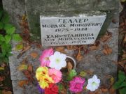 Геллер Мордух Мовшевич, Казань, Арское кладбище
