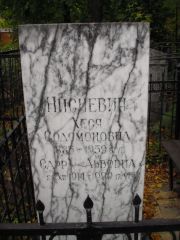 Нисневич Сарра Львовна, Казань, Арское (Польское) кладбище