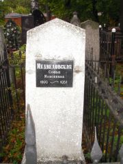 Медведовская Софья Моисеевна, Казань, Арское (Польское) кладбище