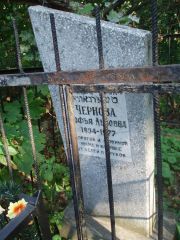 Чернова Софья Львовна, Казань, Арское кладбище
