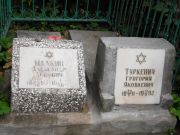 Малкин Александр Львович, Казань, Арское кладбище