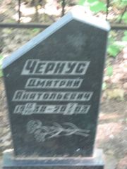 Чериус Дмитрий Анатольевич, Москва, Малаховское кладбище