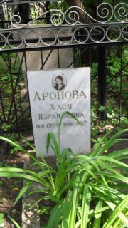 Аронова Хася Израилевна, Москва, Малаховское кладбище