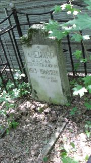 Шнейдер Фаина Соломоновна, Москва, Малаховское кладбище