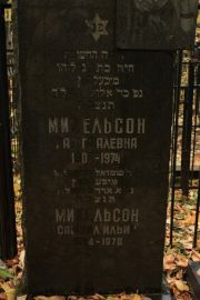 Михельсон Самуил Ильич, Москва, Малаховское кладбище