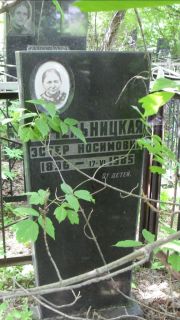 Чечельницкая Эстер Носимовна, Москва, Малаховское кладбище