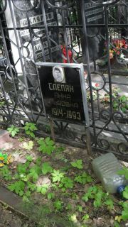 Слепян Анна Львовна, Москва, Малаховское кладбище