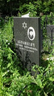 Абрамович Евгения Зальмановна, Москва, Малаховское кладбище