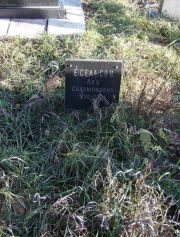 Евельсон Лев Соломонович, Москва, Малаховское кладбище