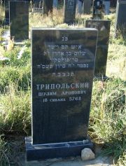 Трипольский Шулим Аронович, Москва, Малаховское кладбище
