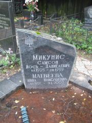 Микунис Самсон Иось-Даниелевич, Москва, Салтыковское кладбище