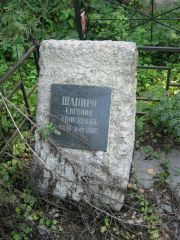Шапиро Евгения Моисеевна, Москва, Салтыковское кладбище