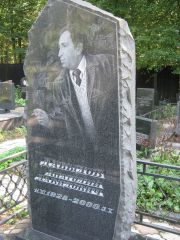Давыдов Анатолий Давидович, Москва, Салтыковское кладбище