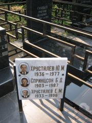 Спринцсон Б. Д., Москва, Салтыковское кладбище