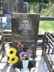 Школьников Павел Яковлевич, Москва, Салтыковское кладбище