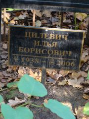 Цилевич Илья Борисович, Москва, Востряковское кладбище
