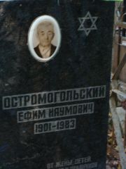 Остромогольский Ефим Наумович, Москва, Востряковское кладбище