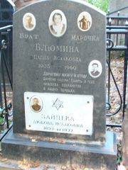 Блюмина Елена Исааковна, Москва, Востряковское кладбище