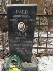 Раев Мишенька , Москва, Востряковское кладбище