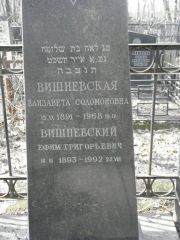 Вишневский Ефим Григорьевич, Москва, Востряковское кладбище