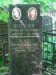 Шпунт Иосиф Менделевич, Москва, Востряковское кладбище