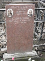 Шаргородская Рахиль Лейбовна, Москва, Востряковское кладбище