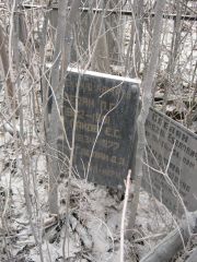 Слепян Д. З., Москва, Востряковское кладбище