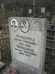 Фридлянд Двейра Геселевна, Москва, Востряковское кладбище