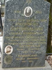 Кушнирский Михаил Маркович, Москва, Востряковское кладбище
