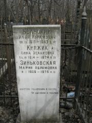 Бельский Илья Абрамович, Москва, Востряковское кладбище