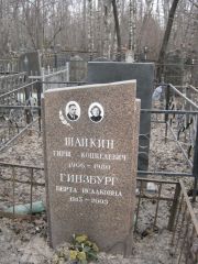 Гинзбург Берта Исааковна, Москва, Востряковское кладбище