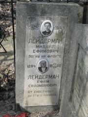 Лейдерман Михаил Ефимович, Москва, Востряковское кладбище