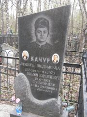 Качур Шолом Израилевич, Москва, Востряковское кладбище
