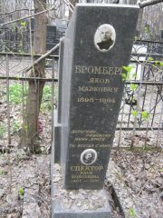 Спектор Бася Мойсеевна, Москва, Востряковское кладбище