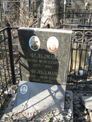 Фельдман Иосиф Моисеевич, Москва, Востряковское кладбище