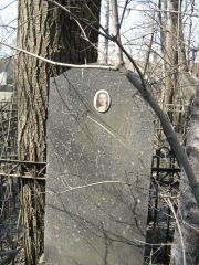 Абельсон Ревекка Цезарьевна, Москва, Востряковское кладбище