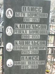 Кацнельсон Соломон Борисович, Москва, Востряковское кладбище