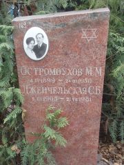 Остромоухов М. М., Москва, Востряковское кладбище