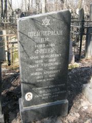 Шейнерман П. М., Москва, Востряковское кладбище