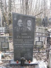 Гудович Соломон Аронович, Москва, Востряковское кладбище