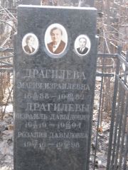 Драгилева Мария Израилевна, Москва, Востряковское кладбище