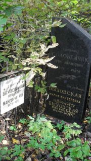 Соловейчик Арон Абрамович, Москва, Востряковское кладбище