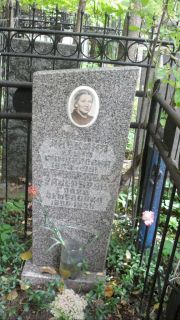 Липкина Елена Самуиловна, Москва, Востряковское кладбище