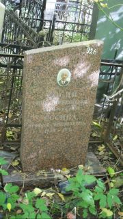Сосина Софья Янковна, Москва, Востряковское кладбище