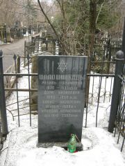 Шапошникова Рахиль Хаимовна, Москва, Востряковское кладбище